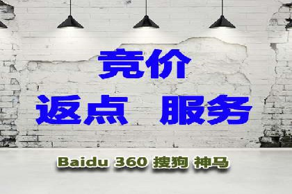高效SEM竞价技巧，案例教学揭秘